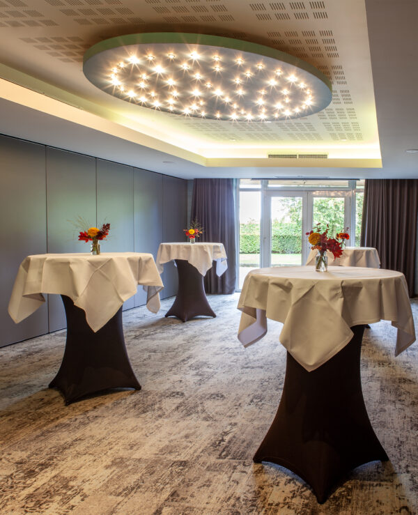 Zaal biznis hotel cézanne